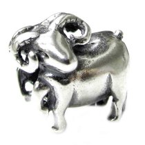 Sterling silver Aries Zodiac Bead for Pandora Troll European Charm Bracelets