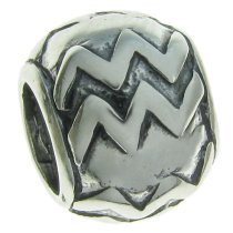 Sterling Silver Zodiac horoscope AQUARIUS Bead Tube for European Charm Bracelets