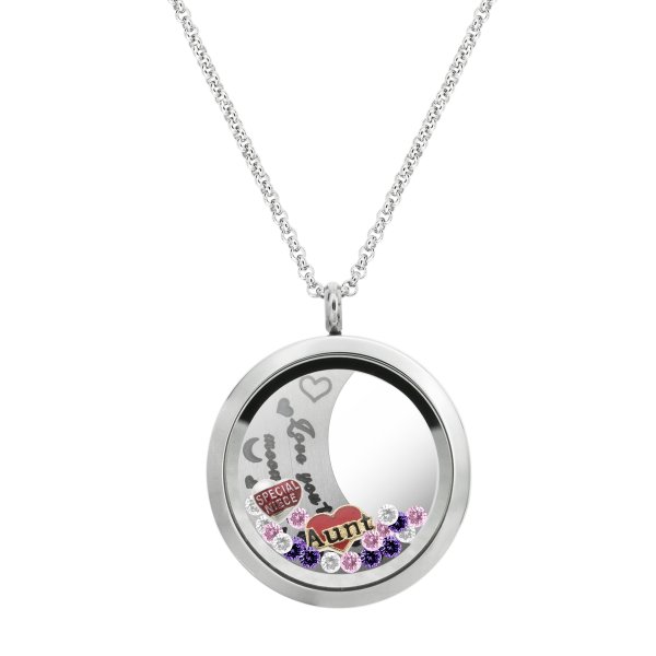 Love You to the Moon and Back Aunt Niece Family Floating Locket Crystal Chain Necklace Pendant 30mm