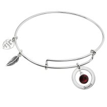 Sterling Silver Imitation Birthstone January Charm Bangle Bar Adjustable Bracelet