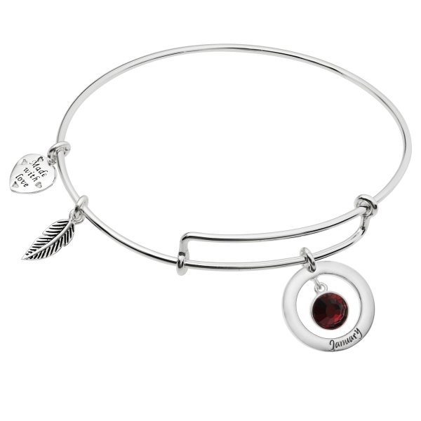 Sterling Silver Imitation Birthstone January Charm Bangle Bar Adjustable Bracelet