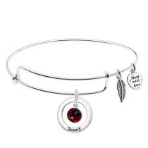 Sterling Silver Imitation Birthstone January Charm Bangle Bar Adjustable Bracelet