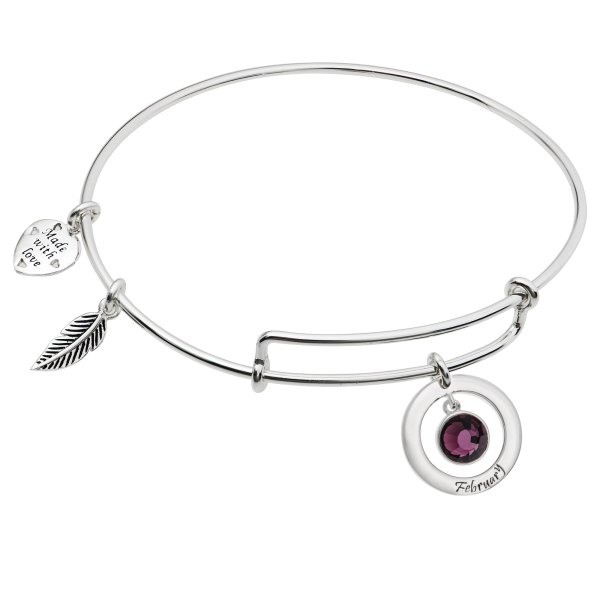 Sterling Silver Imitation Birthstone February Charm Bangle Bar Adjustable Bracelet