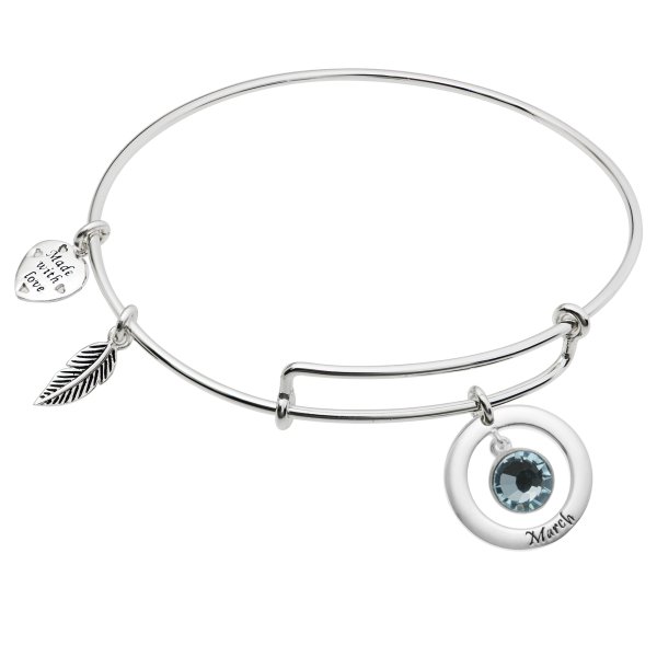 Sterling Silver Imitation Birthstone March Charm Bangle Bar Adjustable Bracelet