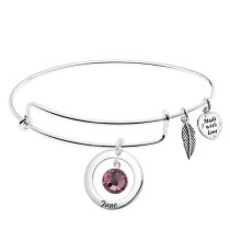 Sterling Silver Imitation Birthstone June Charm Bangle Bar Adjustable Bracelet