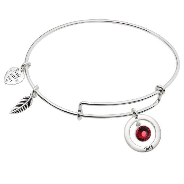 Sterling Silver Imitation Birthstone July Charm Bangle Bar Adjustable Bracelet