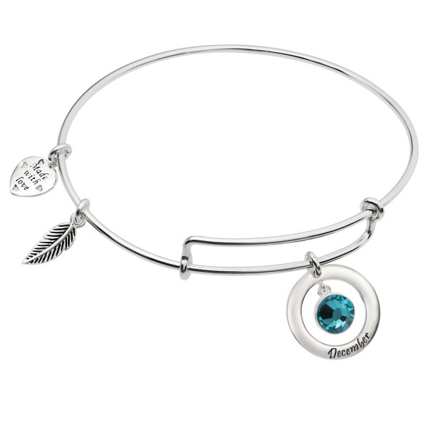 Sterling Silver Imitation Birthstone December Charm Bangle Bar Adjustable Bracelet