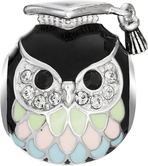 Rhodium on 925 Sterling Silver Owl Teacher European Style Bead Charm Made with Swarovski Crystals