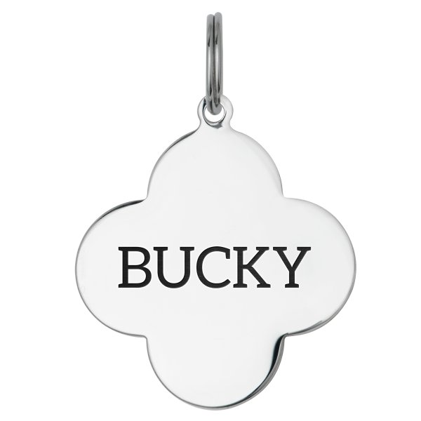 Stainless Steel Pet Id Tags, Personalized Dog Tags & Cat Tags Laser-engraved Front & Back