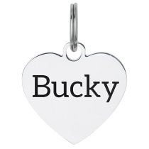 Stainless Steel Personalized Custom Heart Pet Id Tags Dog & Cat Pet Identification w/ Split Ring 23mm