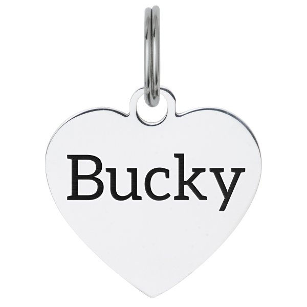Stainless Steel Personalized Custom Heart Pet Id Tags Dog & Cat Pet Identification w/ Split Ring 23mm