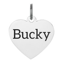 Stainless Steel Personalized Custom Heart Pet Id Tags Dog & Cat Pet Identification w/ Split Ring 30mm