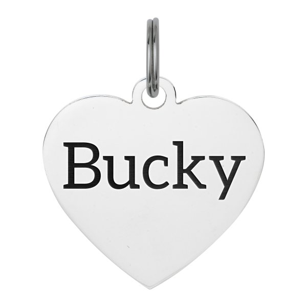 Stainless Steel Personalized Custom Heart Pet Id Tags Dog & Cat Pet Identification w/ Split Ring 30mm