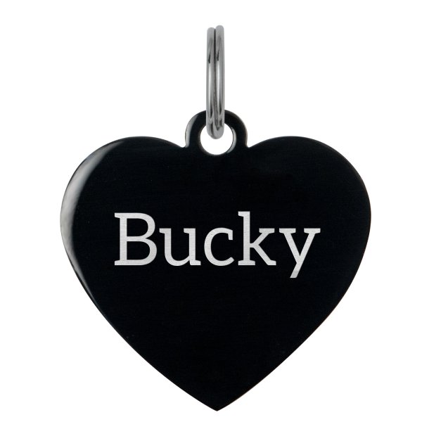 Stainless Steel Black Ip Personalized Custom Heart Pet Id Tags Dog & Cat Pet Identification w/ Split Ring 23mm