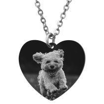 Heart Plate 1-sided Engraving Personalized Photo Pendant Chain Necklace 18.5 in + 2.5 in
