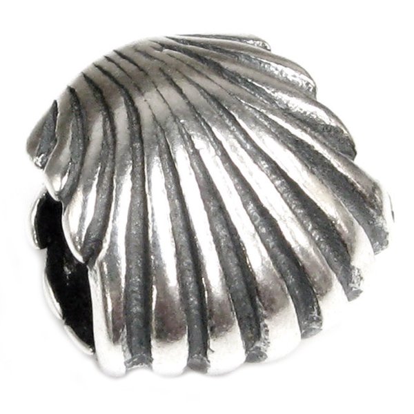 Sterling Silver SEASHELL Focal Bead Bead Charm for Pandora Troll Chamilia Biagi European Jewelry